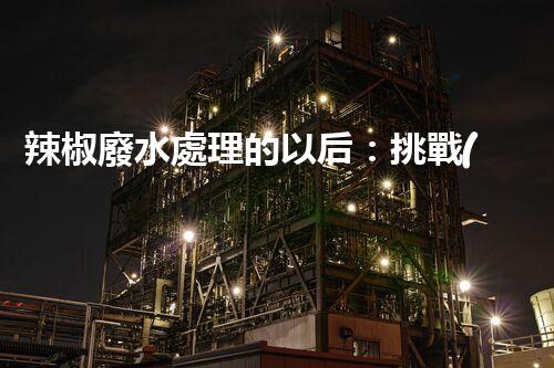 辣椒廢水處理的以后：挑戰(zhàn)與機(jī)遇并存！